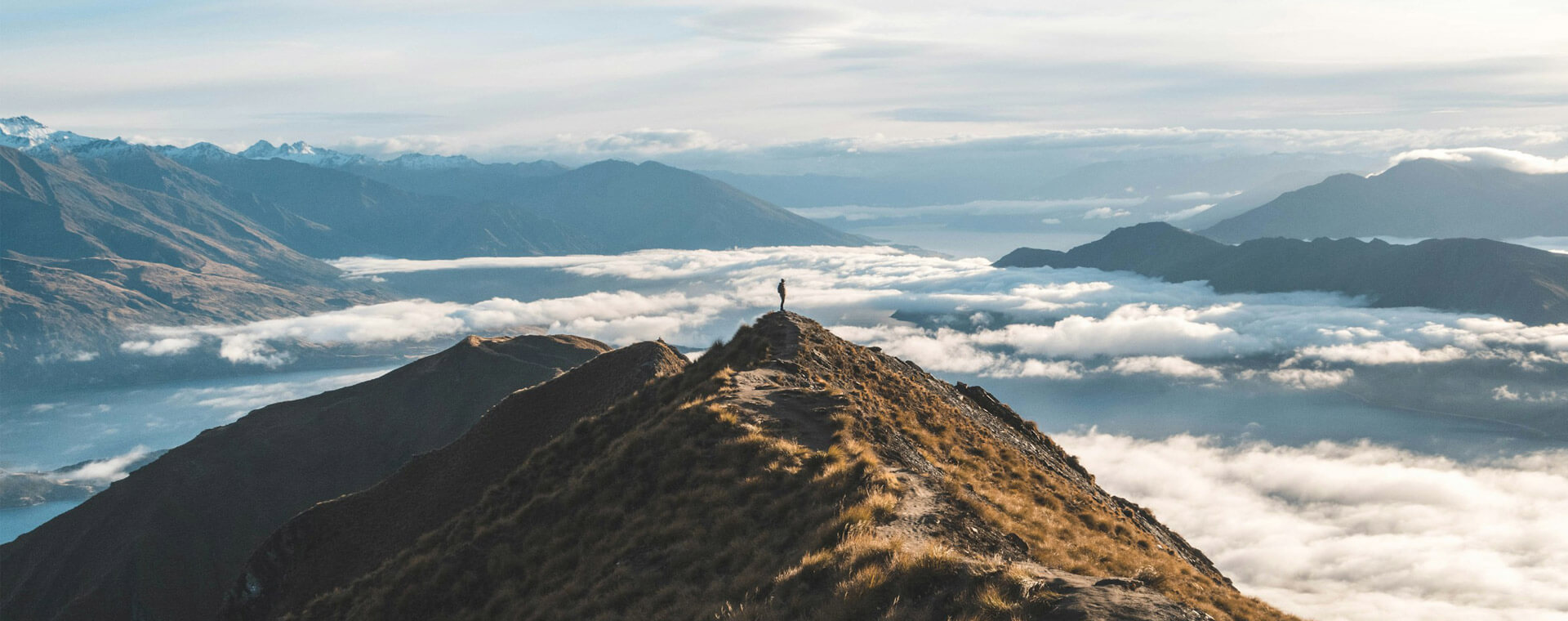 wanaka day tour urban city tour and transfers