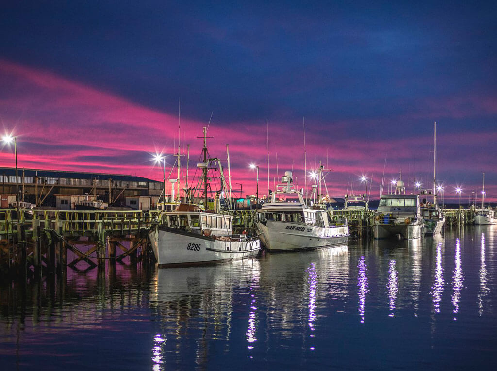 bluff-new-zealand-tour-urban-city-tour-transfers